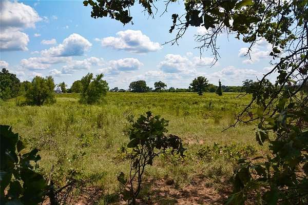 40.2 Acres of Land for Sale in Grand Saline, Texas
