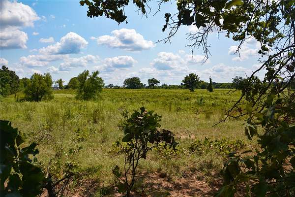 40.2 Acres of Land for Sale in Grand Saline, Texas