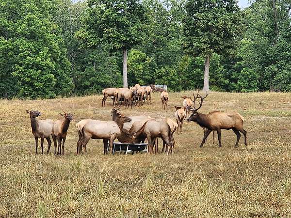 690 Acres of Land with Home for Sale in Stover, Missouri