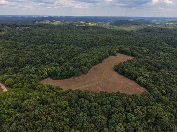 186 Acres of Land for Sale in Mount Pleasant, Arkansas