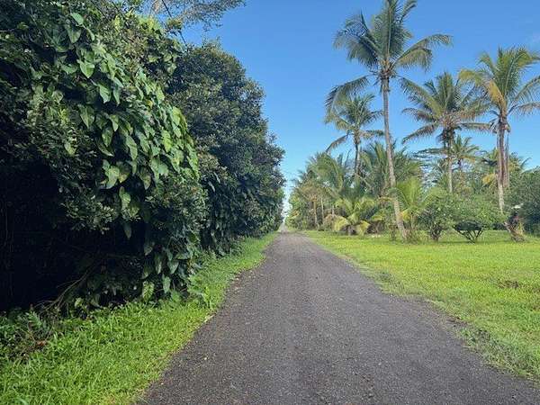 1 Acre of Residential Land for Sale in Keaau, Hawaii