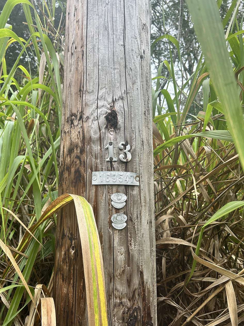 1 Acre of Residential Land for Sale in Keaau, Hawaii