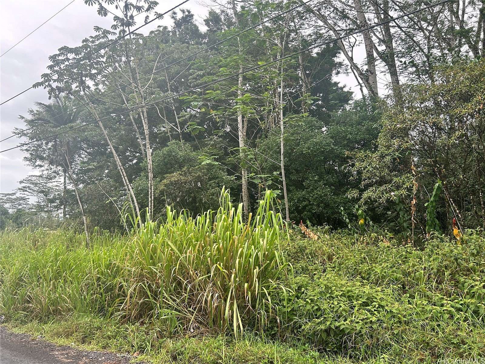 1 Acre of Residential Land for Sale in Keaau, Hawaii