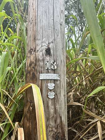 1 Acre of Residential Land for Sale in Keaau, Hawaii