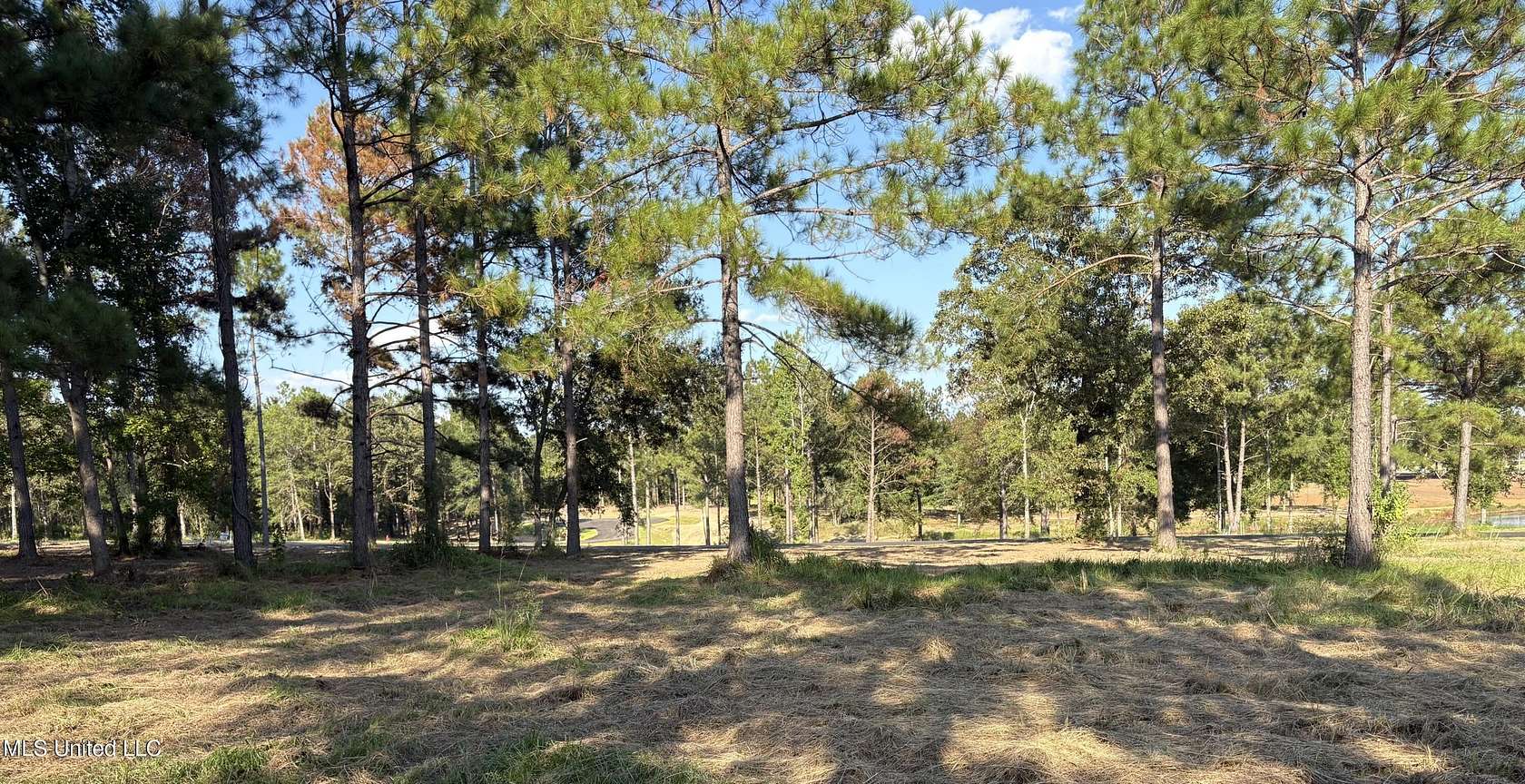 1 Acre of Residential Land for Sale in Lucedale, Mississippi