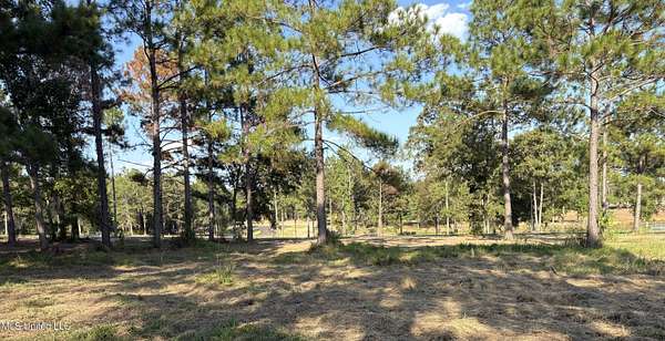 1 Acre of Residential Land for Sale in Lucedale, Mississippi