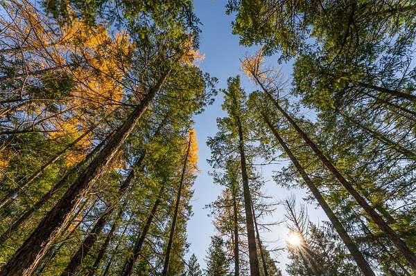 5.3 Acres of Residential Land for Sale in Kalispell, Montana