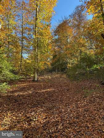 3.74 Acres of Residential Land for Sale in Charlotte Hall, Maryland