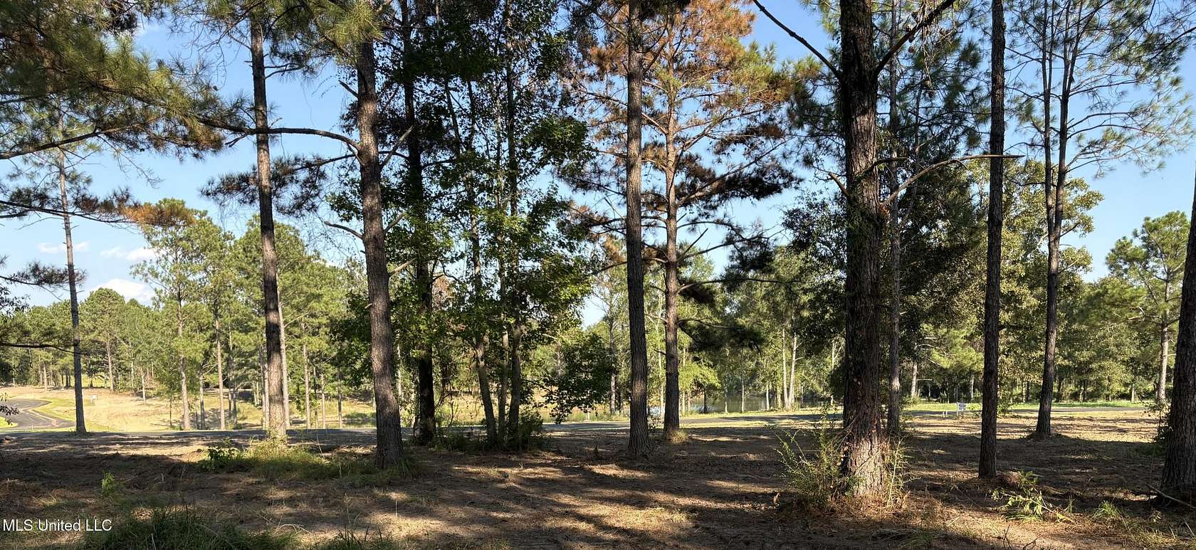 1 Acre of Residential Land for Sale in Lucedale, Mississippi