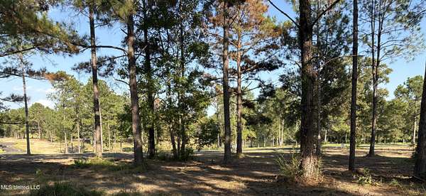 1 Acre of Residential Land for Sale in Lucedale, Mississippi