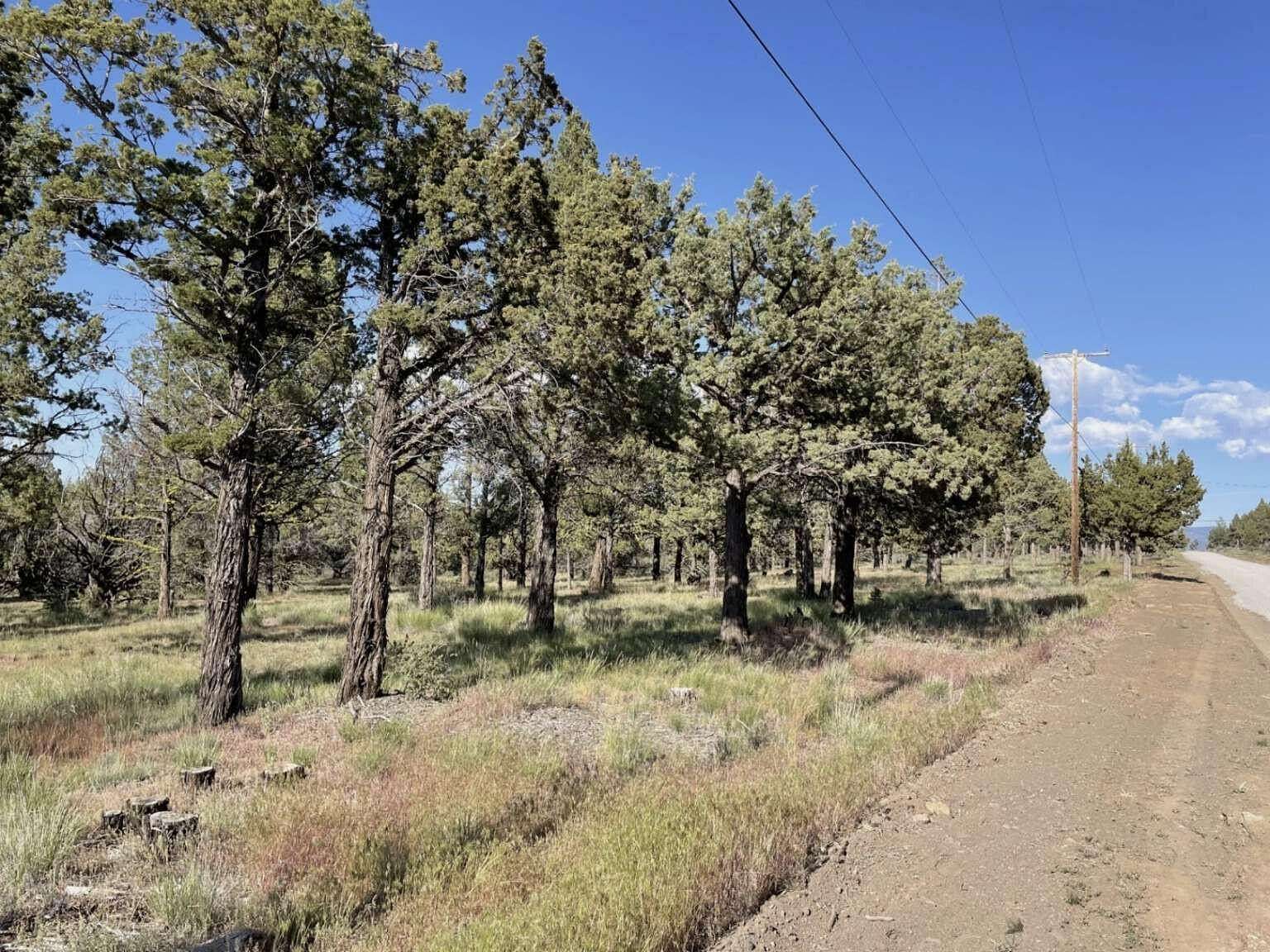 1.47 Acres of Residential Land for Sale in Alturas, California