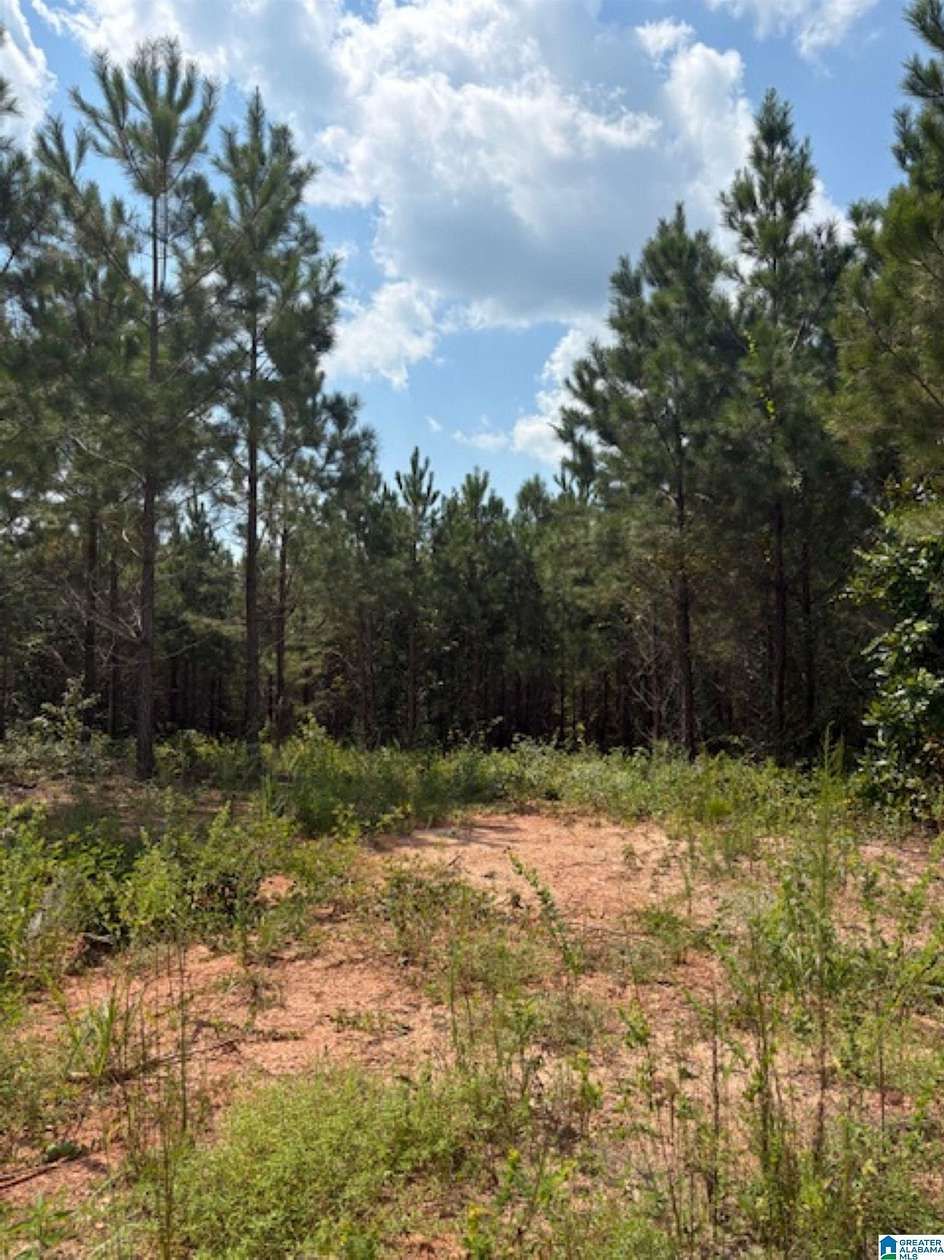 3 Acres of Residential Land for Sale in Clanton, Alabama