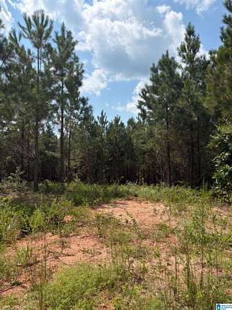 3 Acres of Residential Land for Sale in Clanton, Alabama