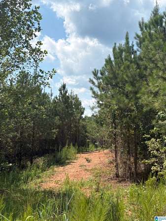 3.13 Acres of Residential Land for Sale in Clanton, Alabama