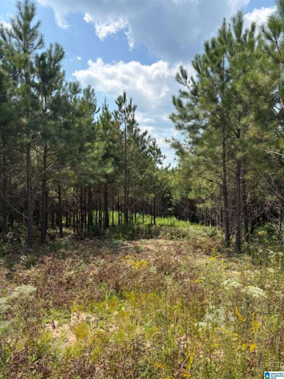 3 Acres of Residential Land for Sale in Clanton, Alabama