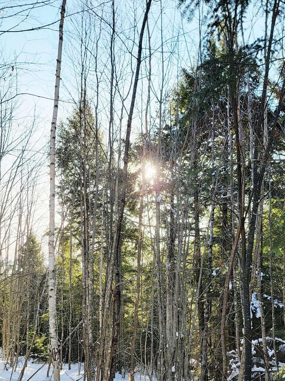 3.49 Acres of Residential Land for Sale in Aurora, Maine