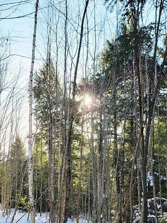 3.49 Acres of Residential Land for Sale in Aurora, Maine