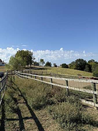 23.6 Acres of Agricultural Land for Sale in Ewing, Kentucky