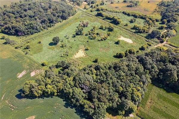 110 Acres of Recreational Land & Farm for Sale in Lexington Township, Minnesota