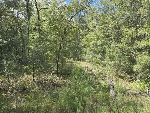 2 Acres of Residential Land for Sale in Williston, Florida