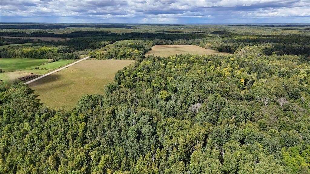 58.2 Acres of Recreational Land & Farm for Sale in Pomroy Township, Minnesota