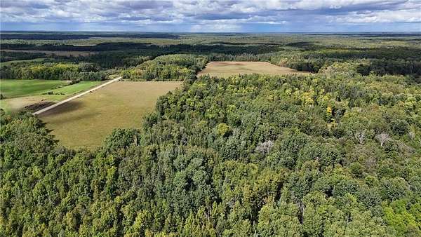 58.2 Acres of Recreational Land & Farm for Sale in Pomroy Township, Minnesota