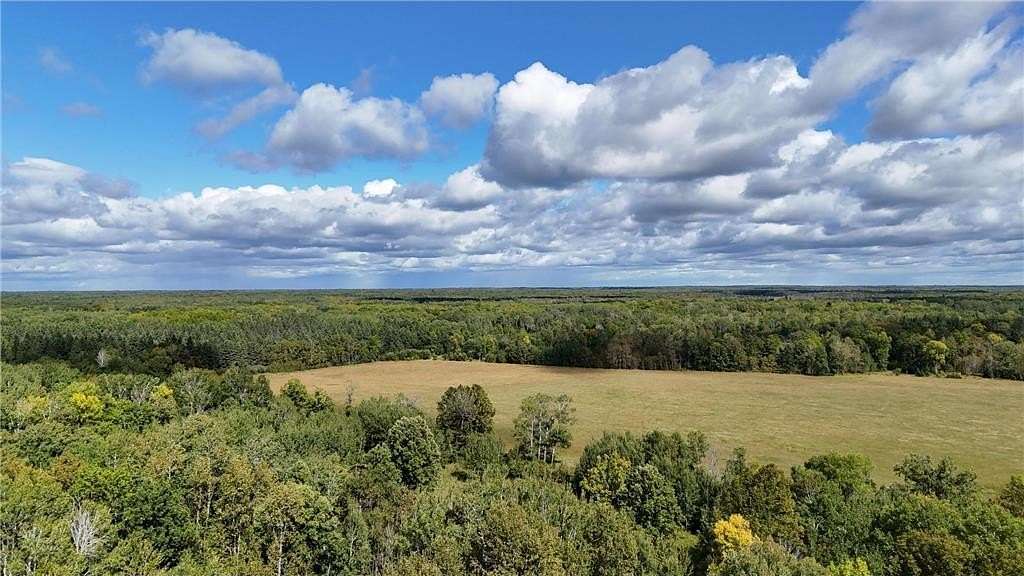 58.3 Acres of Recreational Land & Farm for Sale in Pomroy Township, Minnesota