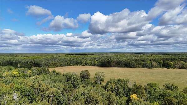 58.3 Acres of Recreational Land & Farm for Sale in Pomroy Township, Minnesota