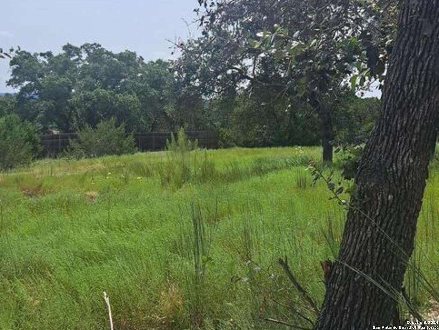 0.02 Acres of Residential Land for Sale in Spring Branch, Texas