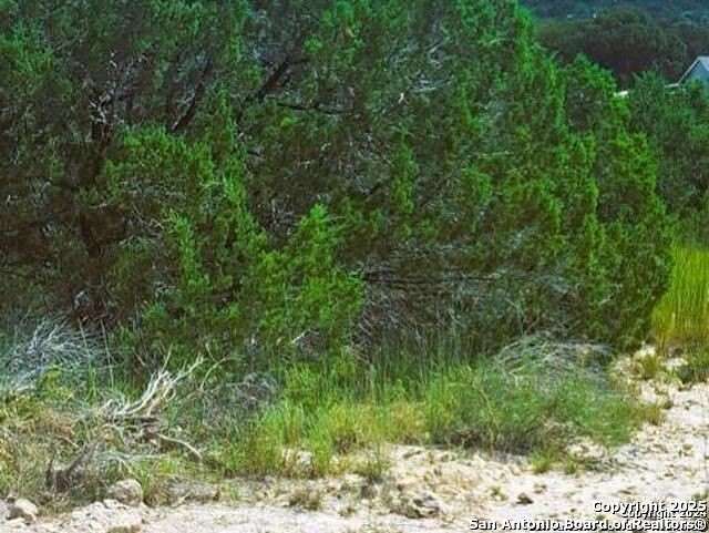 0.23 Acres of Residential Land for Sale in Spring Branch, Texas