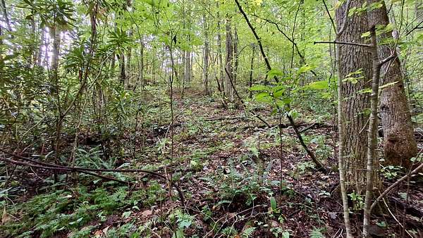 3.2 Acres of Residential Land for Sale in Sylva, North Carolina