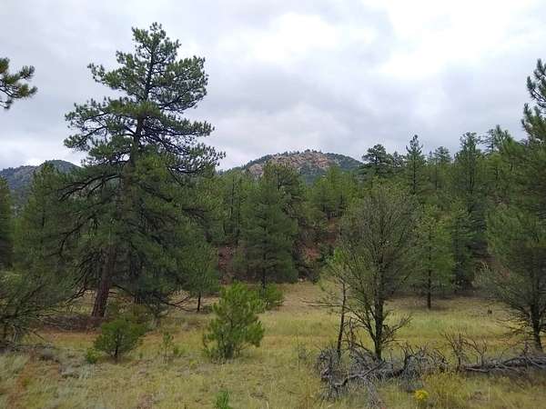 35.8 Acres of Recreational Land for Sale in Cotopaxi, Colorado