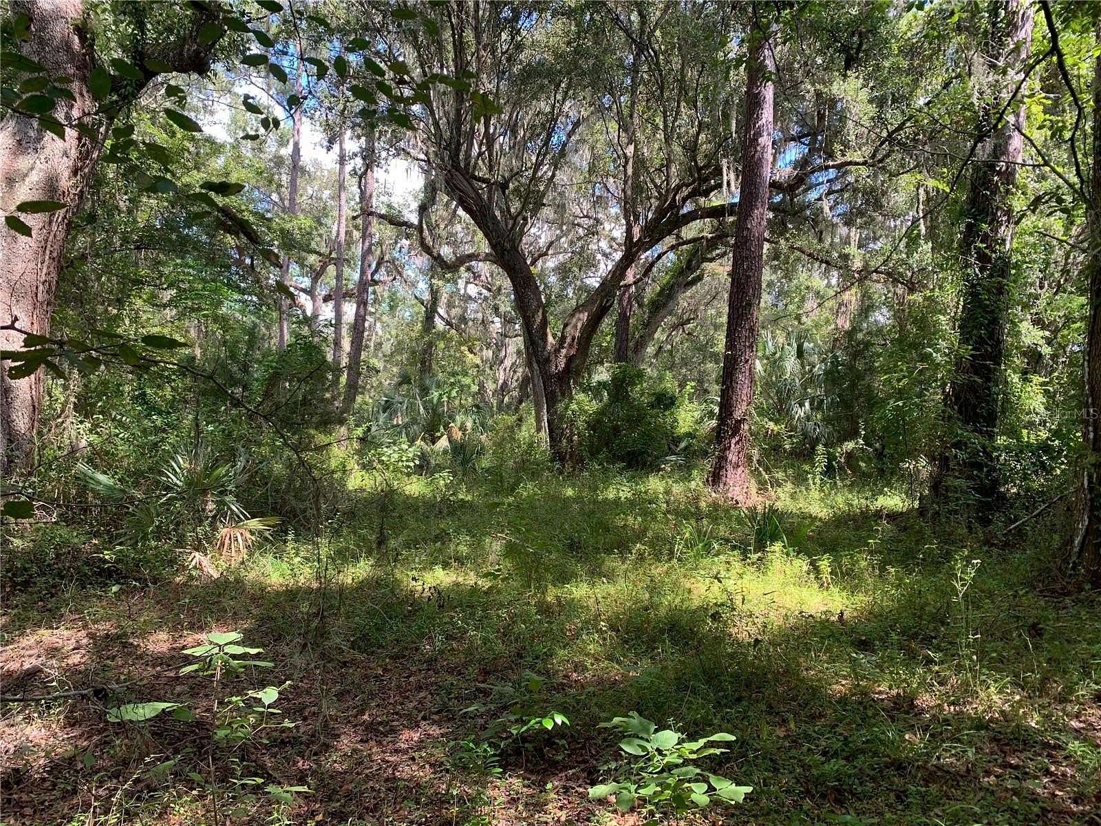 0.84 Acres of Residential Land for Sale in Brooksville, Florida