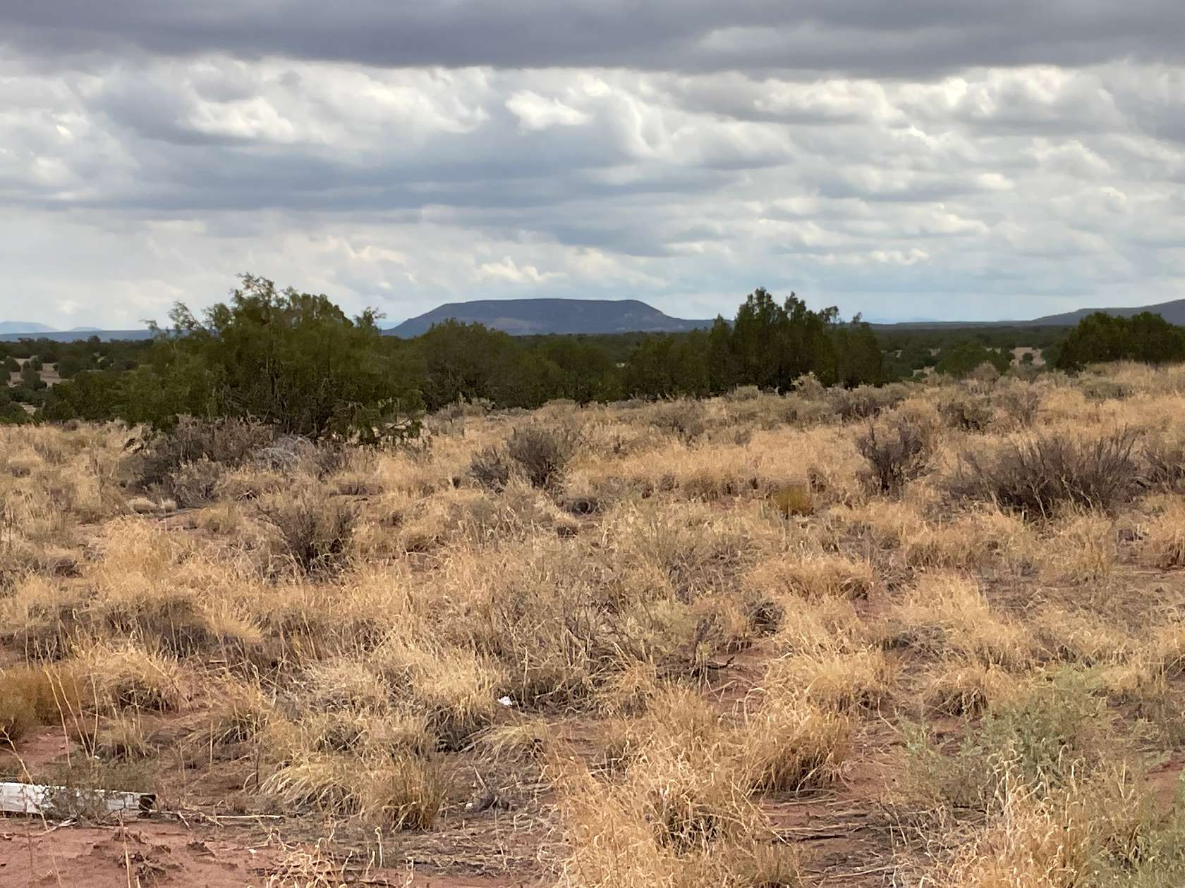 7 Acres of Residential Land for Sale in Concho, Arizona