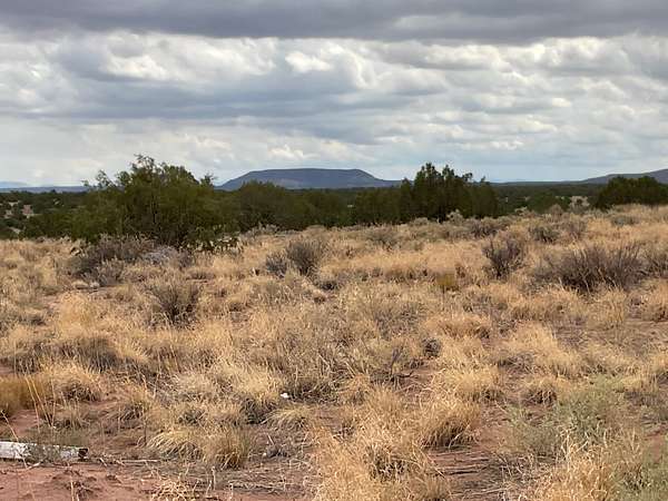 7 Acres of Residential Land for Sale in Concho, Arizona