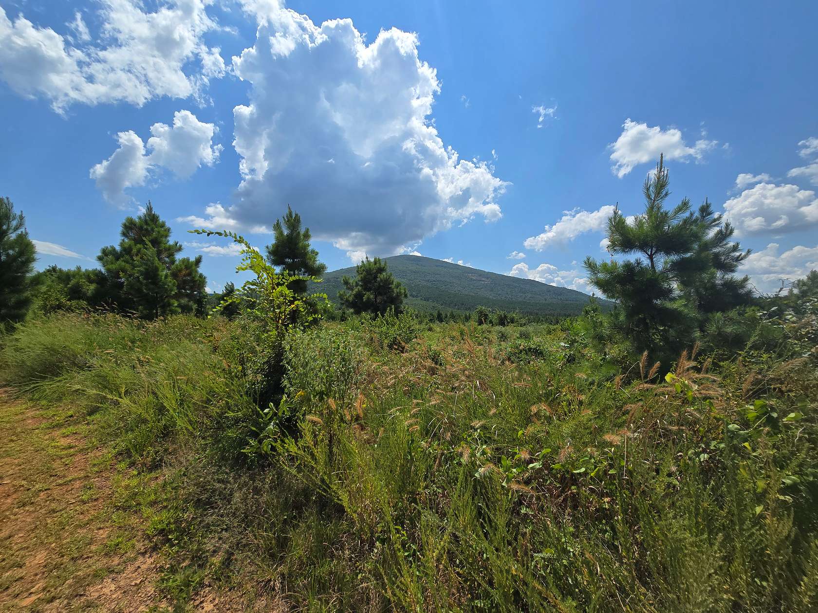 80 Acres of Recreational Land & Farm for Sale in Poteau, Oklahoma