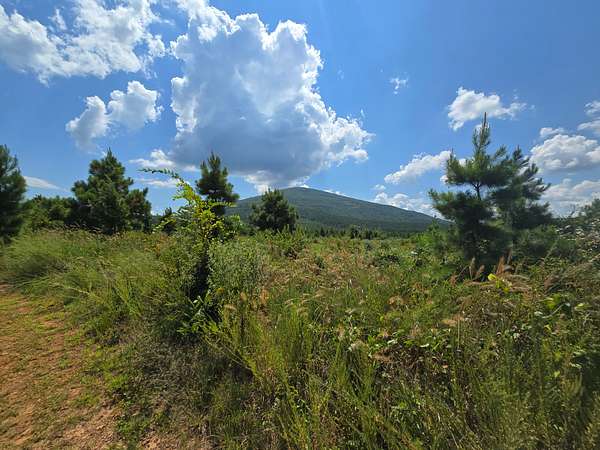 80 Acres of Recreational Land & Farm for Sale in Poteau, Oklahoma