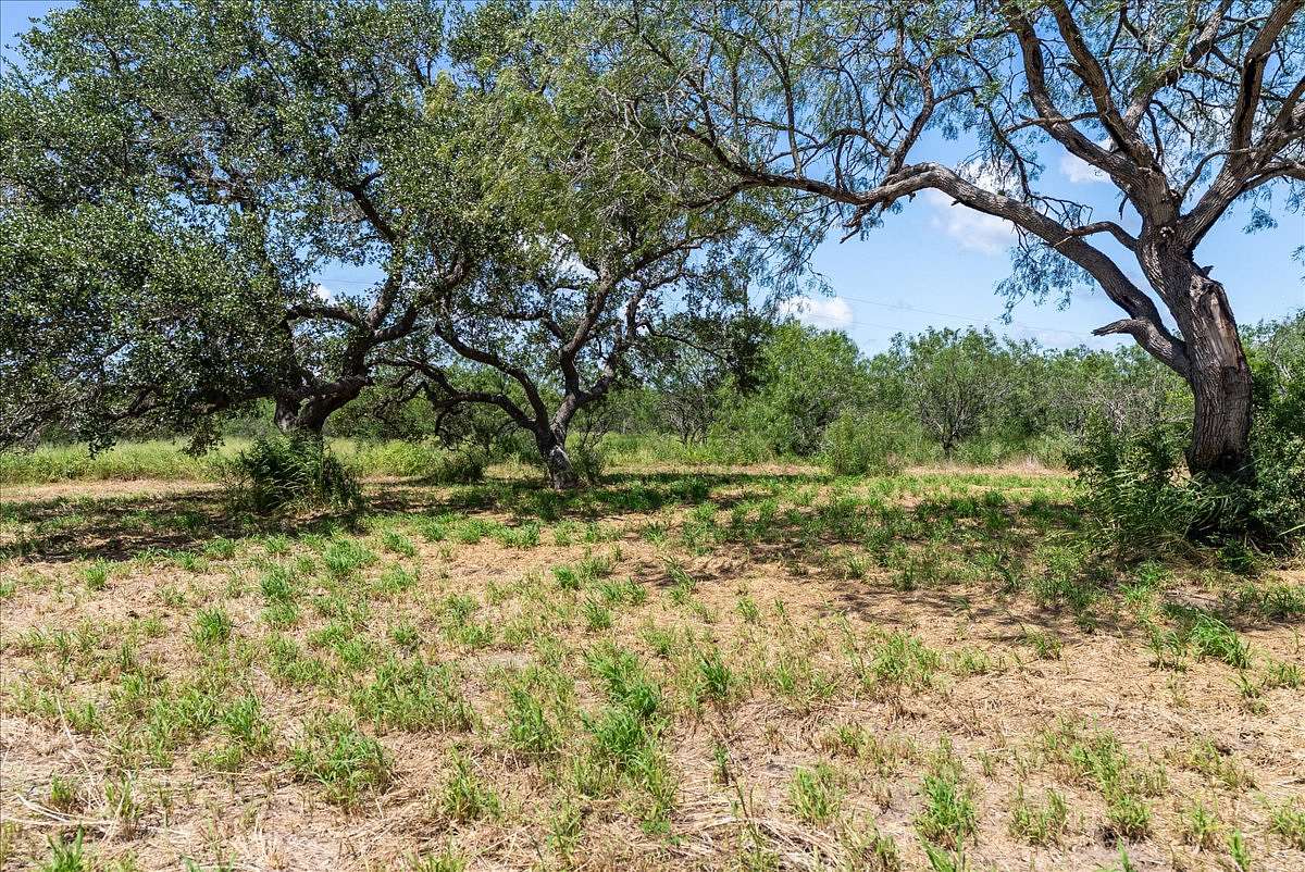 13.6 Acres of Land for Sale in Skidmore, Texas