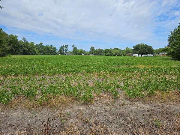 15.4 Acres of Land for Sale in Olanta, South Carolina