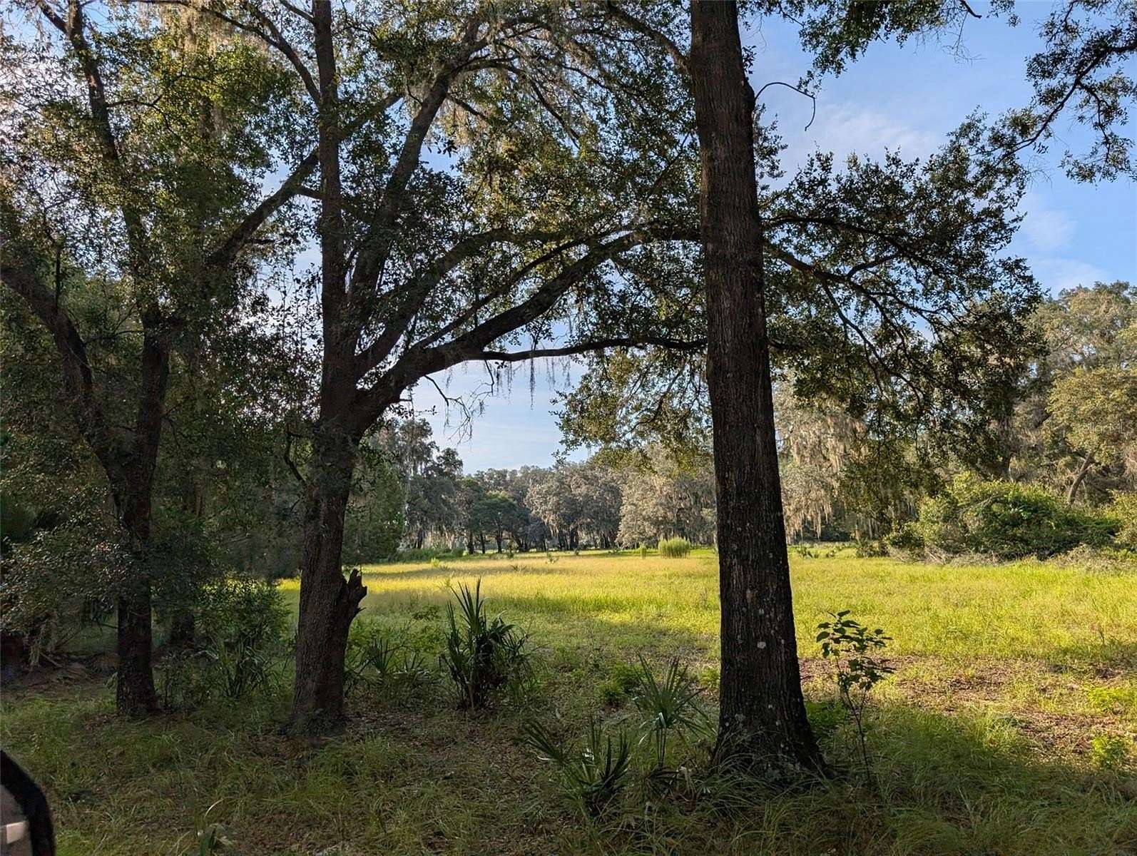 15.6 Acres of Agricultural Land for Sale in Fort McCoy, Florida