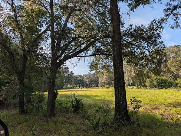 15.6 Acres of Agricultural Land for Sale in Fort McCoy, Florida