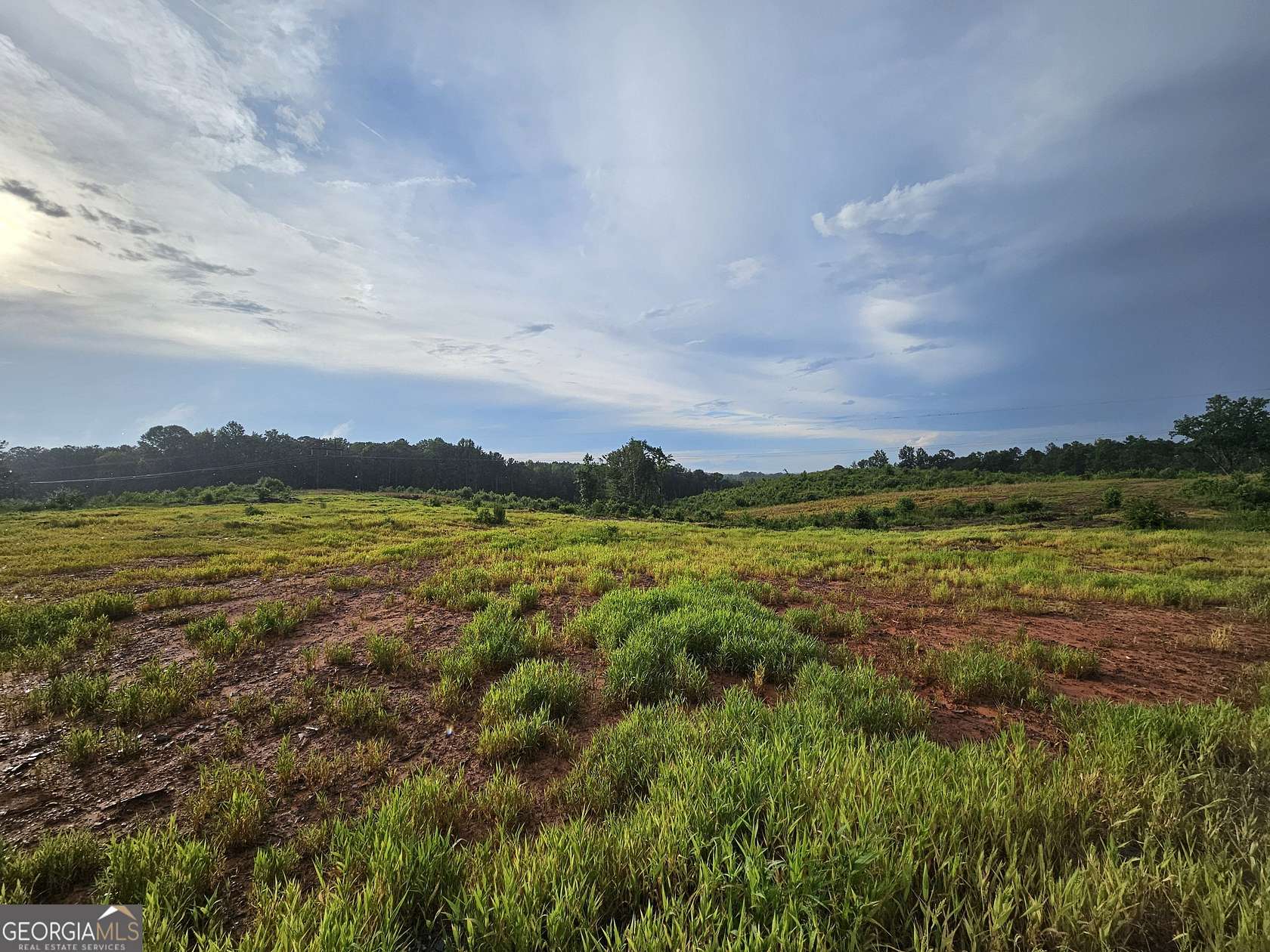 20 Acres of Land for Sale in Elberton, Georgia
