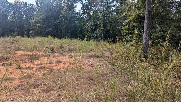 24.9 Acres of Recreational Land for Sale in Ellington, Missouri