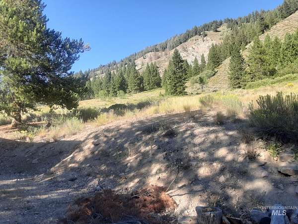 1.39 Acres of Improved Residential Land for Sale in Fairfield, Idaho