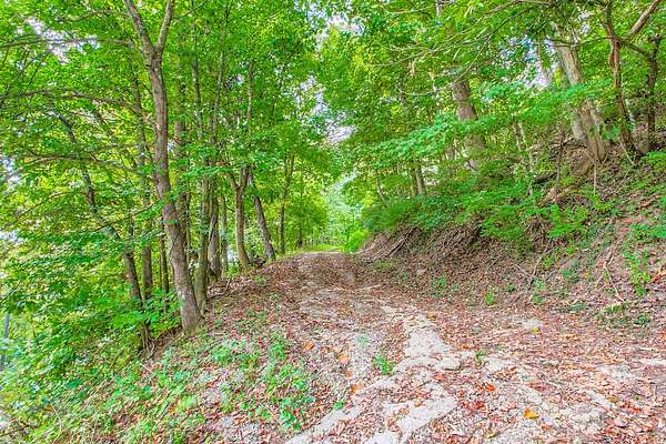7.1 Acres of Residential Land for Sale in Whites Creek, Tennessee