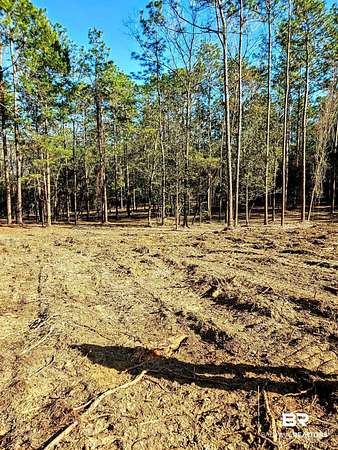 3.16 Acres of Residential Land for Sale in Bay Minette, Alabama