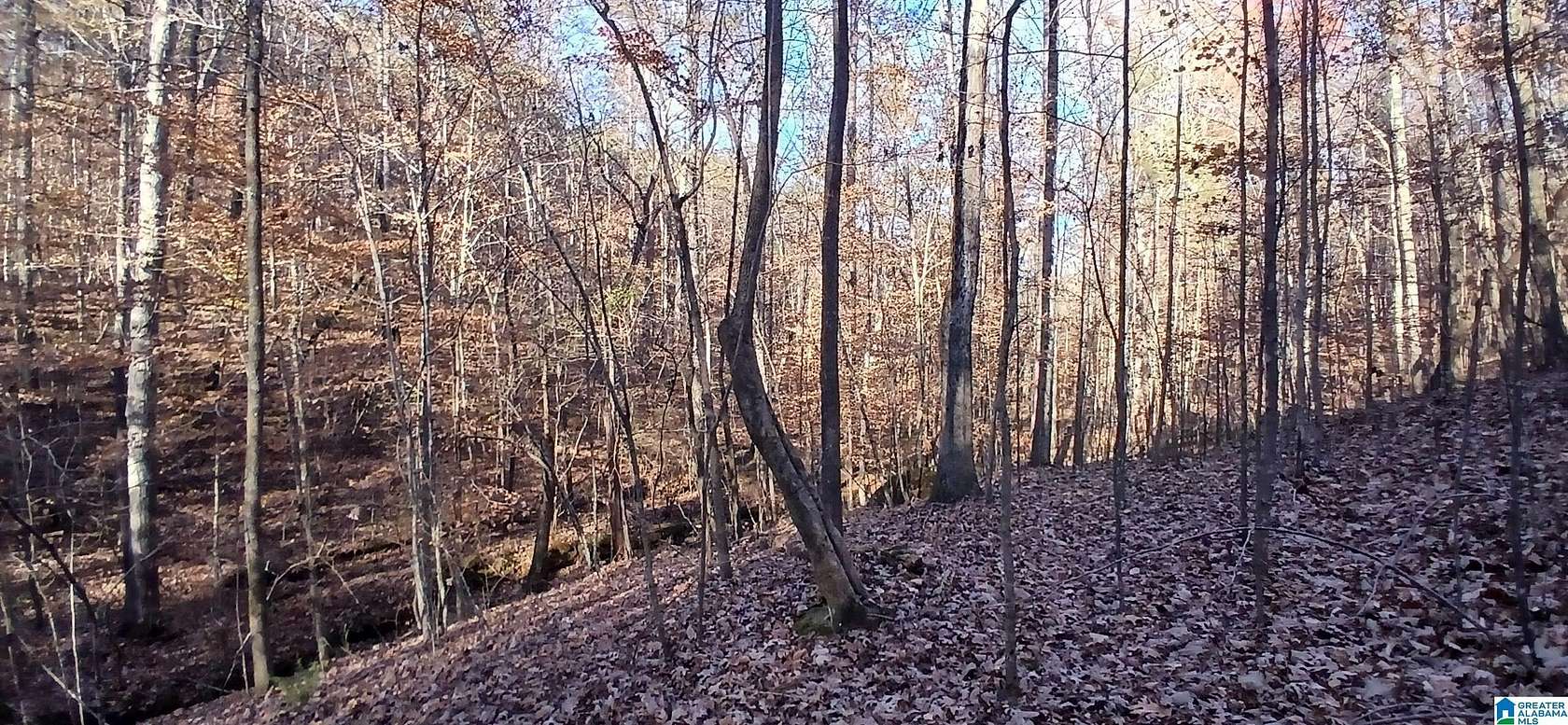52.8 Acres of Land for Sale in Argo, Alabama