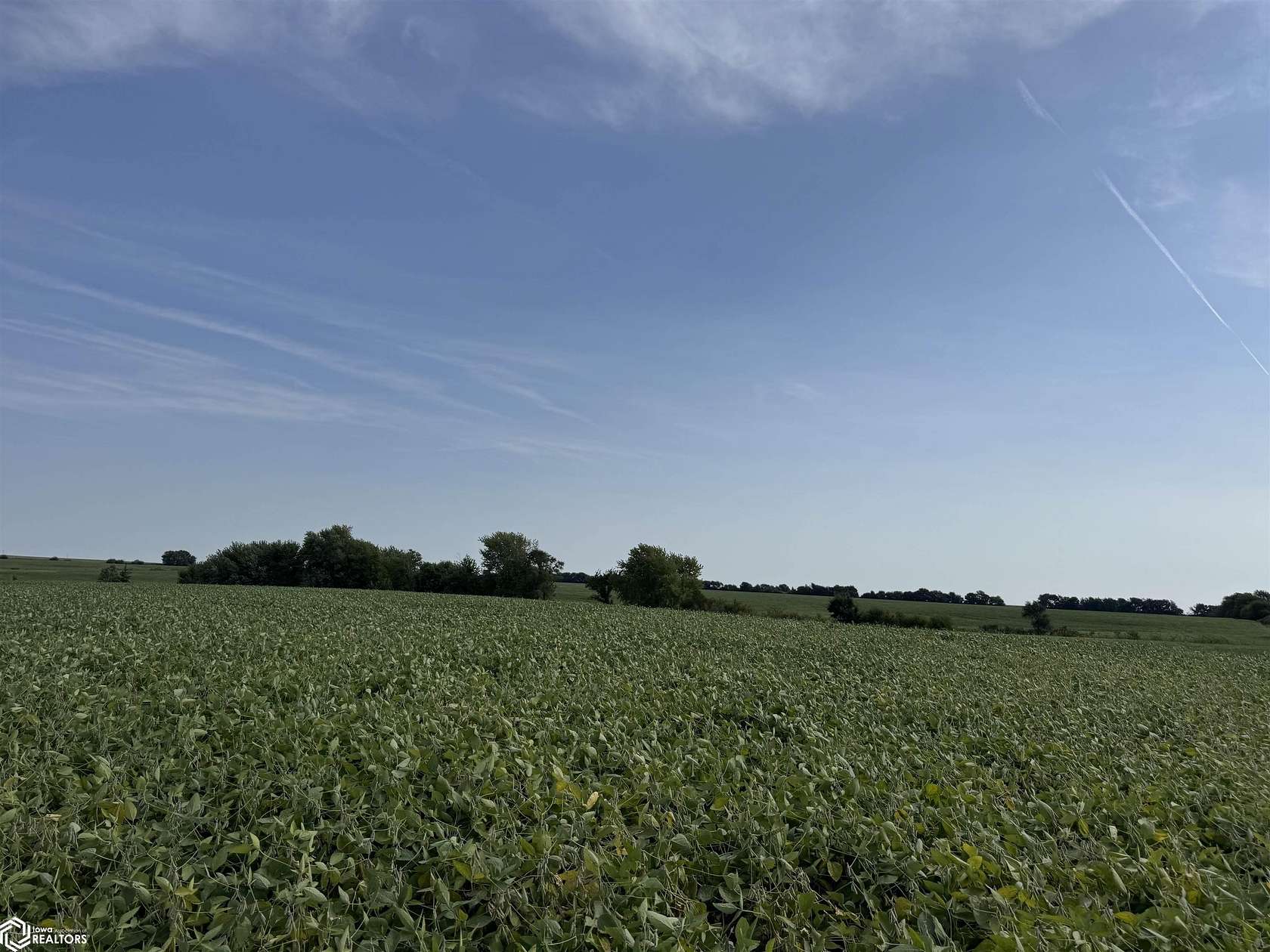 160 Acres of Recreational Land & Farm for Sale in Lenox, Iowa