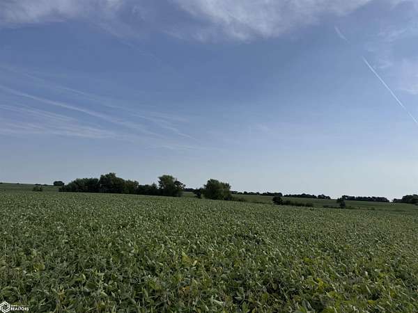 160 Acres of Recreational Land & Farm for Sale in Lenox, Iowa