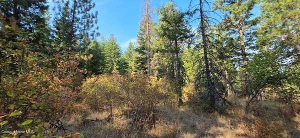 11.4 Acres of Land for Sale in Coeur d'Alene, Idaho